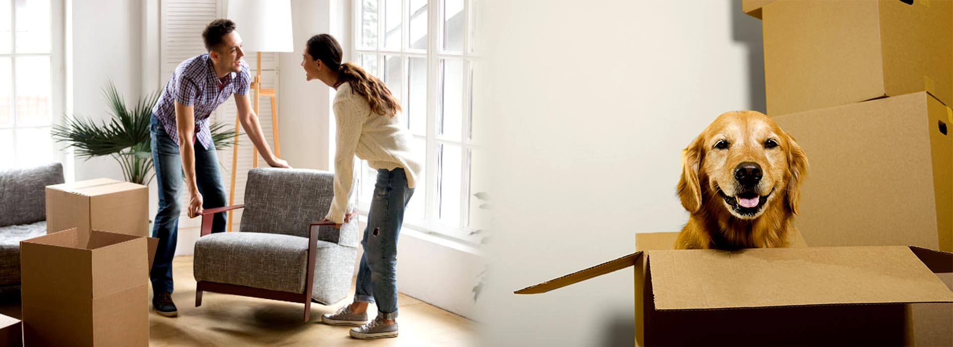  Ashish Packers and Movers